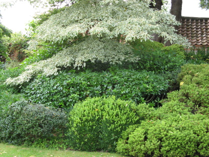 Gärten in England  Old Rectory Sudborough